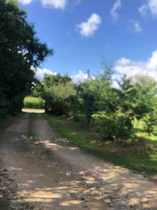 Apartamento Terrasse, Campagne Et Mer Troguery Exterior foto